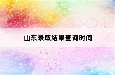 山东录取结果查询时间