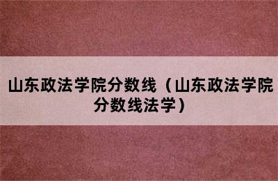 山东政法学院分数线（山东政法学院分数线法学）