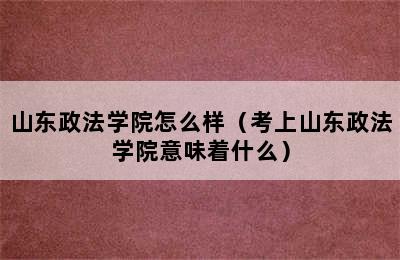 山东政法学院怎么样（考上山东政法学院意味着什么）