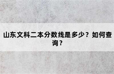 山东文科二本分数线是多少？如何查询？