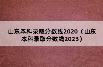 山东本科录取分数线2020（山东本科录取分数线2023）