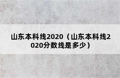 山东本科线2020（山东本科线2020分数线是多少）