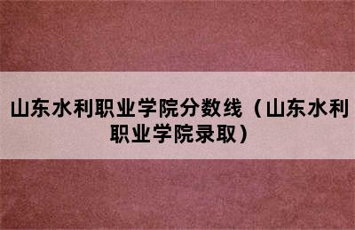 山东水利职业学院分数线（山东水利职业学院录取）