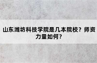 山东潍坊科技学院是几本院校？师资力量如何？