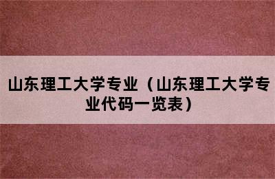 山东理工大学专业（山东理工大学专业代码一览表）