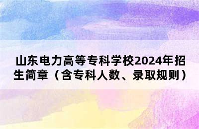 山东电力高等专科学校2024年招生简章（含专科人数、录取规则）