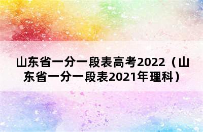 山东省一分一段表高考2022（山东省一分一段表2021年理科）