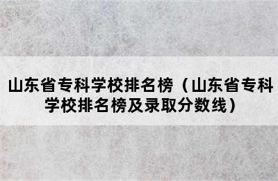 山东省专科学校排名榜（山东省专科学校排名榜及录取分数线）