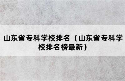 山东省专科学校排名（山东省专科学校排名榜最新）