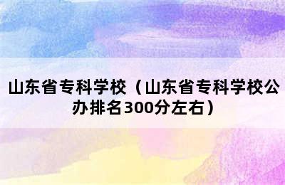 山东省专科学校（山东省专科学校公办排名300分左右）