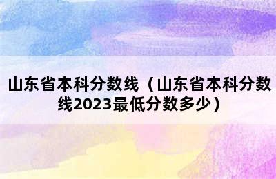 山东省本科分数线（山东省本科分数线2023最低分数多少）