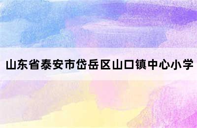 山东省泰安市岱岳区山口镇中心小学