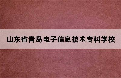 山东省青岛电子信息技术专科学校