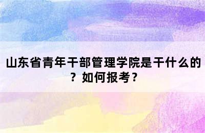 山东省青年干部管理学院是干什么的？如何报考？