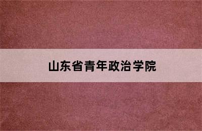 山东省青年政治学院