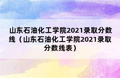 山东石油化工学院2021录取分数线（山东石油化工学院2021录取分数线表）