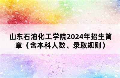 山东石油化工学院2024年招生简章（含本科人数、录取规则）