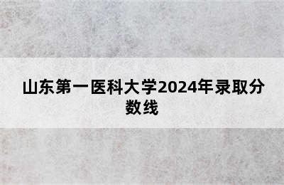 山东第一医科大学2024年录取分数线