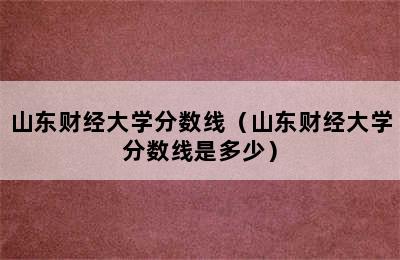 山东财经大学分数线（山东财经大学分数线是多少）