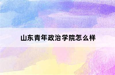 山东青年政治学院怎么样