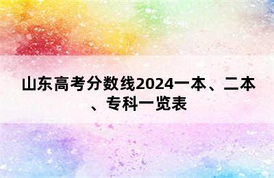 山东高考分数线2024一本、二本、专科一览表