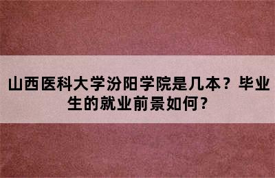 山西医科大学汾阳学院是几本？毕业生的就业前景如何？