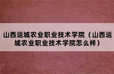 山西运城农业职业技术学院（山西运城农业职业技术学院怎么样）