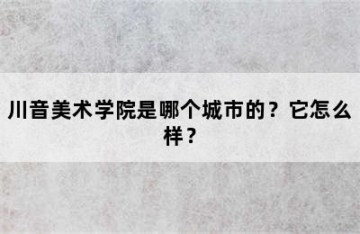 川音美术学院是哪个城市的？它怎么样？