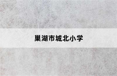 巢湖市城北小学