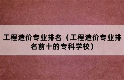 工程造价专业排名（工程造价专业排名前十的专科学校）