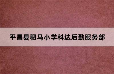 平昌县驷马小学科达后勤服务部