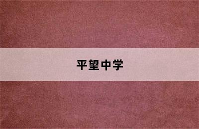 平望中学