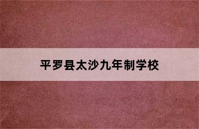 平罗县太沙九年制学校