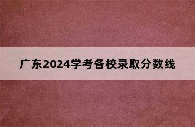 广东2024学考各校录取分数线