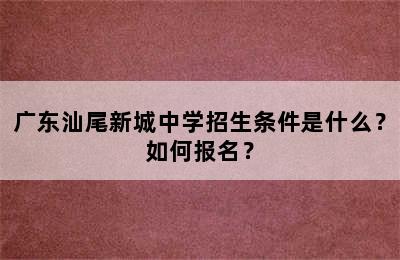 广东汕尾新城中学招生条件是什么？如何报名？