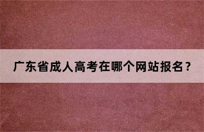 广东省成人高考在哪个网站报名？