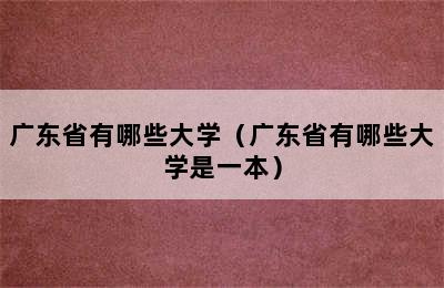 广东省有哪些大学（广东省有哪些大学是一本）