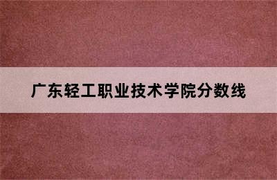 广东轻工职业技术学院分数线