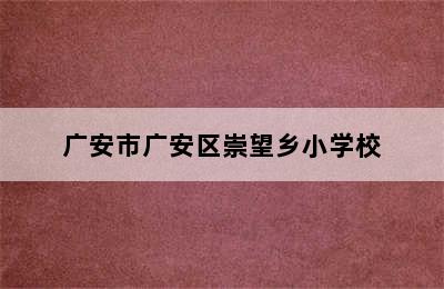 广安市广安区崇望乡小学校