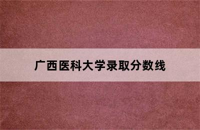 广西医科大学录取分数线