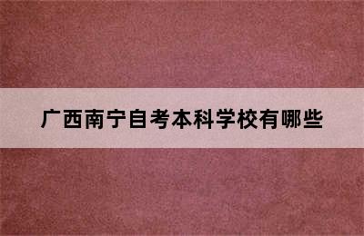 广西南宁自考本科学校有哪些