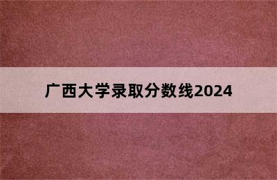 广西大学录取分数线2024