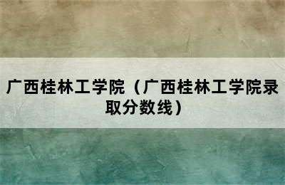 广西桂林工学院（广西桂林工学院录取分数线）