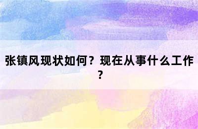 张镇风现状如何？现在从事什么工作？