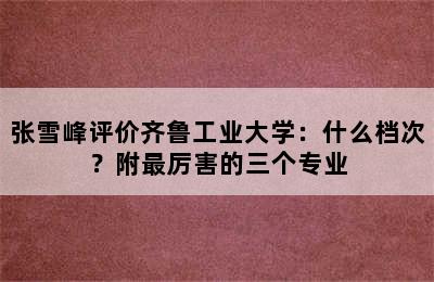 张雪峰评价齐鲁工业大学：什么档次？附最厉害的三个专业