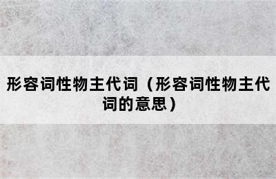 形容词性物主代词（形容词性物主代词的意思）