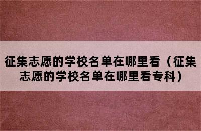 征集志愿的学校名单在哪里看（征集志愿的学校名单在哪里看专科）