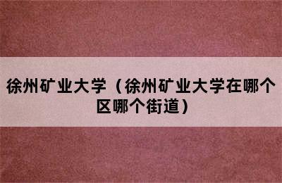 徐州矿业大学（徐州矿业大学在哪个区哪个街道）