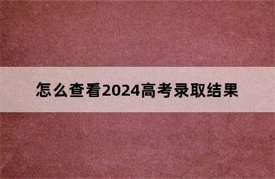 怎么查看2024高考录取结果