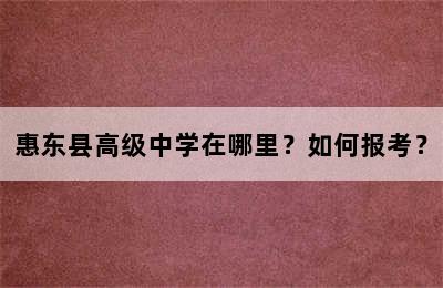 惠东县高级中学在哪里？如何报考？